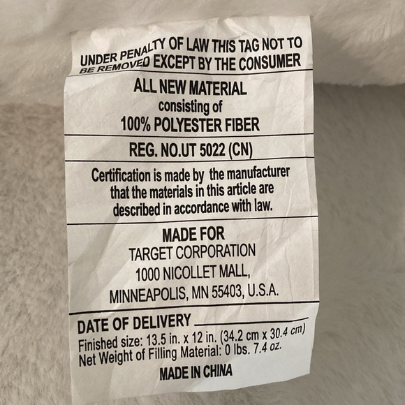 Target BP Halloween 2024 Ghost Pillow - Picture 3 of 5